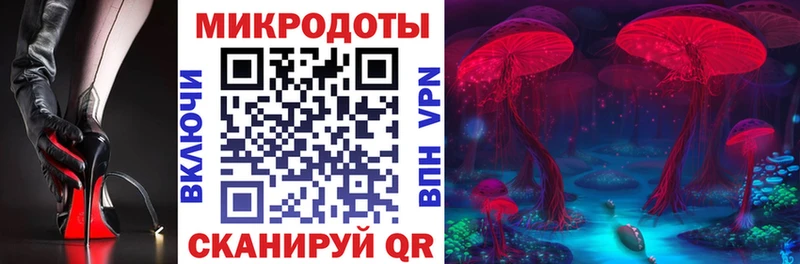 Псилоцибиновые грибы мухоморы  купить   мега ссылка  Новосиль 